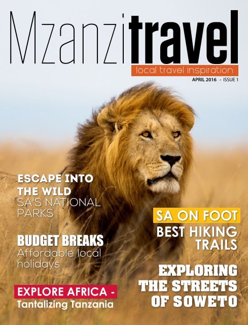 MZANZI TRAVEL - ISSUE 1