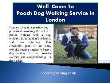 Dog day care in London | Pooch Dog Walking