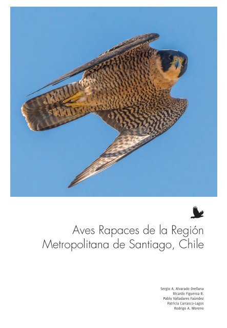 El Águila Pescadora: Pandion Haliaetus (El libro de las rapaces nº 22)