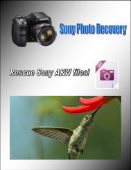 Sony Photo Recovery - Rescue Sony ARW files!