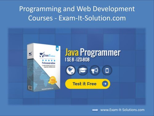 Programming and Web Development Courses - Exam-It-Solution.com