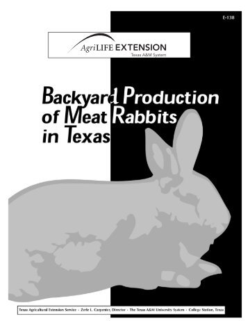 Backyard Production of Meat Rabbits in Texas - Repository - Texas ...