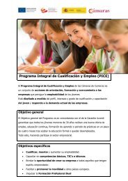 Programa Integral de Cualificación y Empleo (PICE)