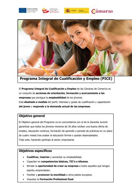 Programa Integral de Cualificación y Empleo (PICE)