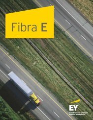 Fibra E