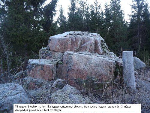 Stenmonumenten i Storvretabygden 2016  Sven-Inge Windahl