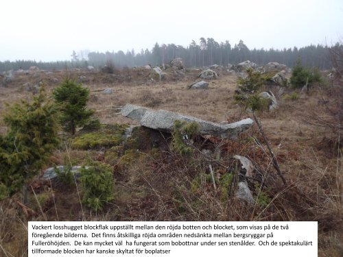 Stenmonumenten i Storvretabygden 2016  Sven-Inge Windahl