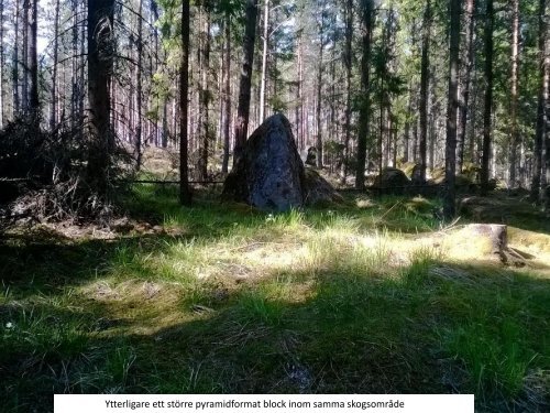 Stenmonumenten i Storvretabygden 2016  Sven-Inge Windahl