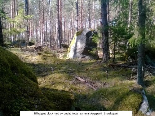 Stenmonumenten i Storvretabygden 2016  Sven-Inge Windahl