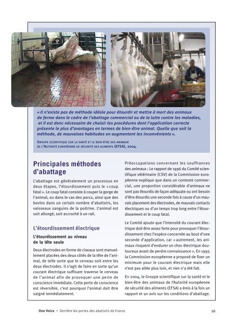 Derrière les portes des abattoirs de France