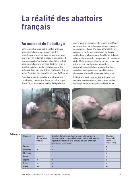 Derrière les portes des abattoirs de France