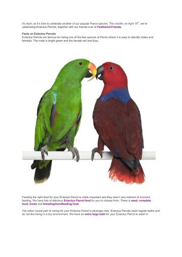 Eclectus Day