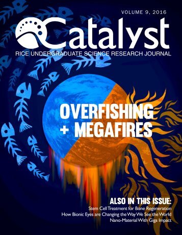 [Catalyst 2016] Final