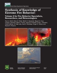 Synthesis of Knowledge of Extreme Fire Behavior