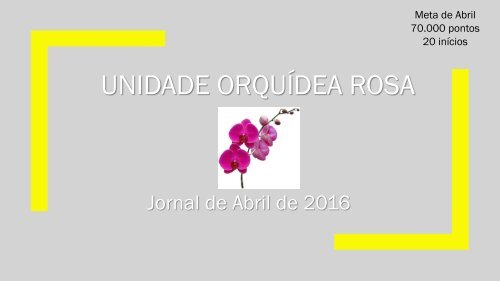 Jornal Orquídea Rosa. Edição: Abril de 2016