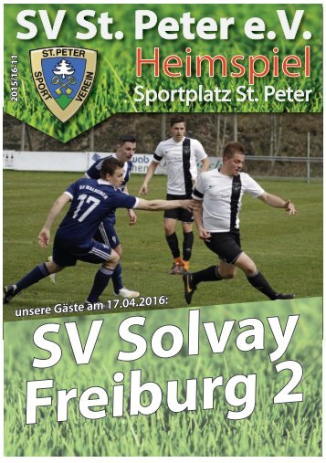 SVS-Heimspiel 2015/16-11