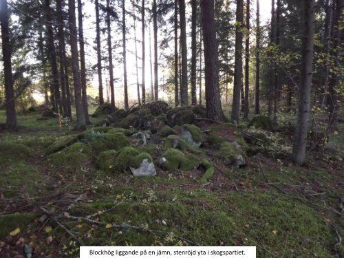 Vandring och mål  Gammal kultursten i och kring ett skogsparti  Sven-Inge Windahl  2016