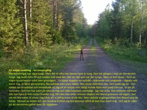 Vandring och mål  Gammal kultursten i och kring ett skogsparti  Sven-Inge Windahl  2016