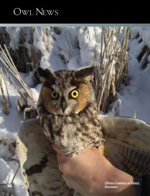 The Owl Eye Spring 2016