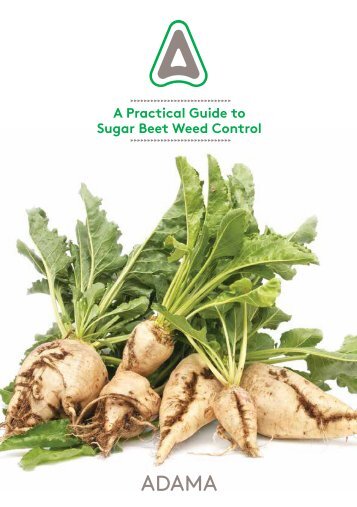 A Practical Guide to Sugar Beet Weed Control