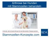 Regeneration bei Hunde-Arthrose durch Stammzellen-Therapie für Ihren Hund. 