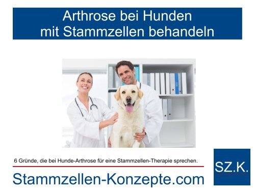 Regeneration bei Hunde-Arthrose durch Stammzellen-Therapie für Ihren Hund. 