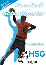 Handball Schaufenster 2015/16