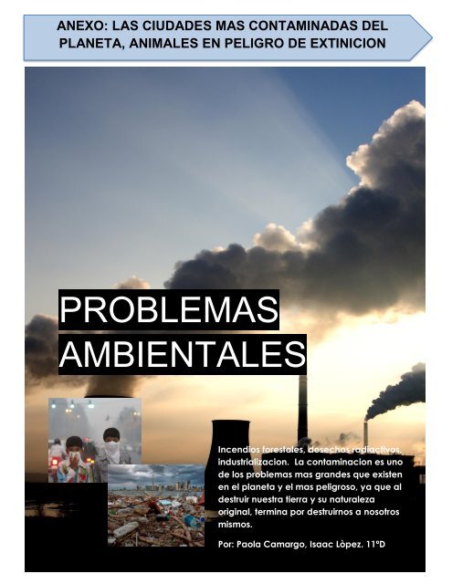 PROBLEMAS AMBIENTALES