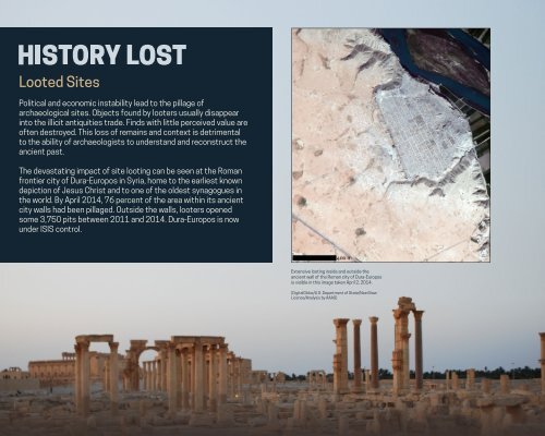 Witnessing Heritage Destruction in Syria and Iraq