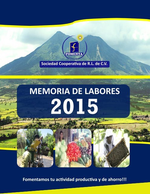 Memoria de Labores 2015v10