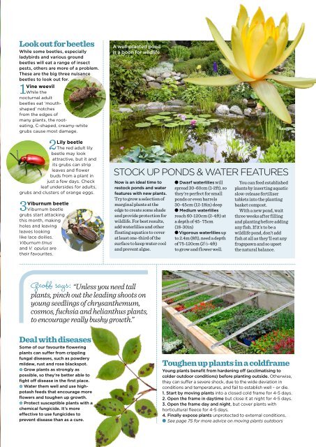 Garden Answers Mini-Mag