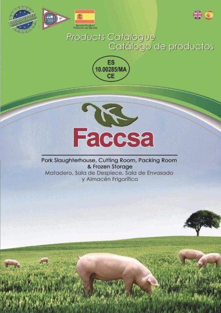 CATALOGO FACCSA CASTELLANO INGLES REV 3