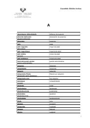 euskera-castellano zuzenbide zibileko lexikoa