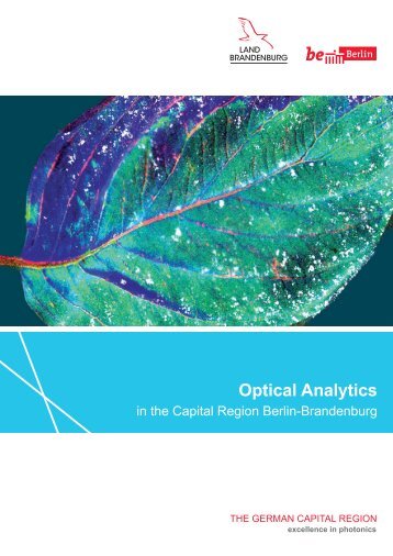 Optical Analytics in the Capital Region Berlin-Brandenburg