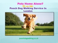 Pooch Dog Walking in London