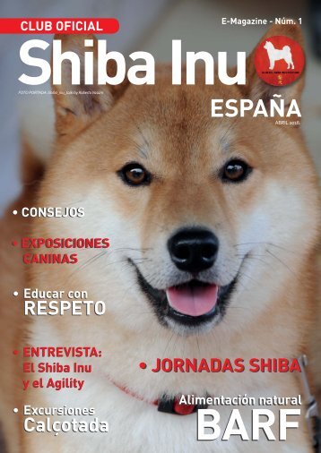 Emagazine 1 Shiba