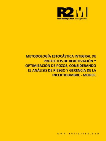Metodología Estocástica Reactivación y Optimización de Pozos - MEIREP