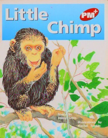 little_Chimp