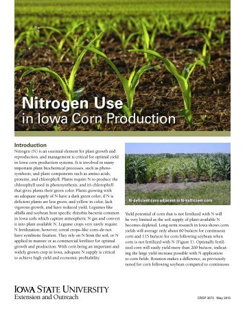 Nitrogen Use