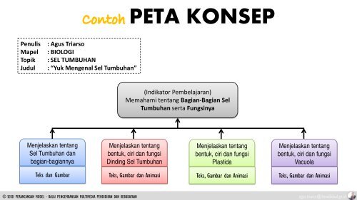  Sel  Tumbuhan Dan  Fungsi  Bagian Bagiannya  Berbagai Bagian 