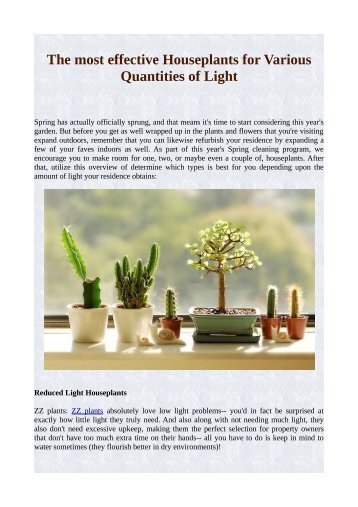 The most effective Houseplants for Various Quantities of Light