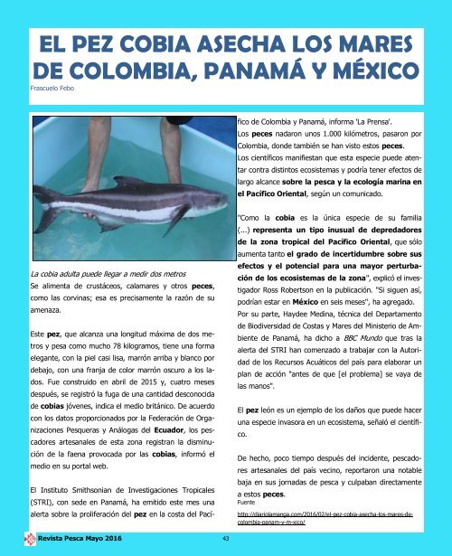 REVISTA PESCA MAYO 2016