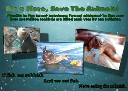 save animals Courtney Daykin