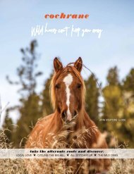 2016 Alternate Routes Wild Horses Can't Keep You Away