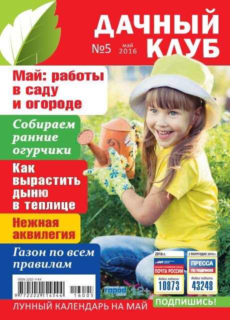 Дачный клуб №5/2016