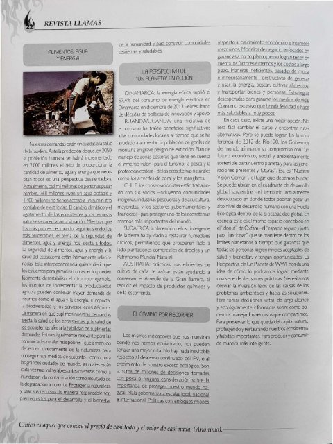 Revista Llamas # 105