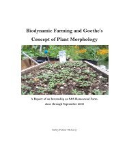 Biodynamic Farming And Goethe's Concept Of Plant Morphology