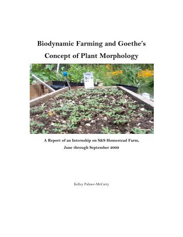 Biodynamic Farming And Goethe's Concept Of Plant Morphology