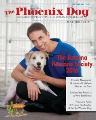 Phoenix Dog
