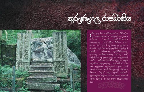 WAYAMBA Magazine 2011